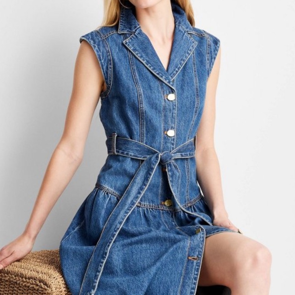 Women's Sleeveless Denim Button-Front Midi Dress~Future Collective ~Jenee Naylor - Picture 7 of 9